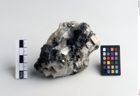 Foto von Glimmer (NHMW-MIN-An566)